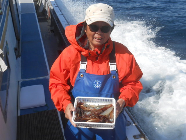 ムギイカ(スルメイカ)