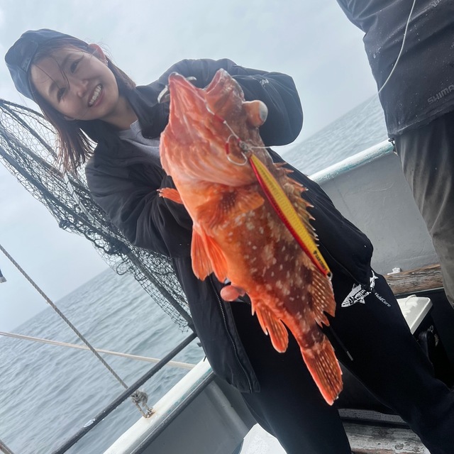 ウッカリカサゴ