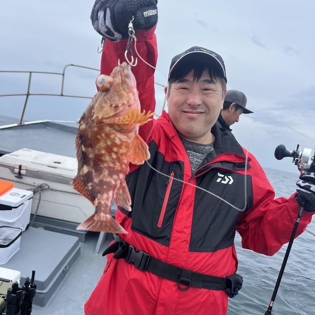 ウッカリカサゴ