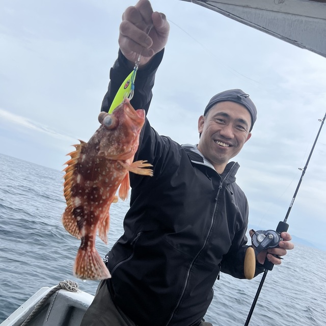 ウッカリカサゴ