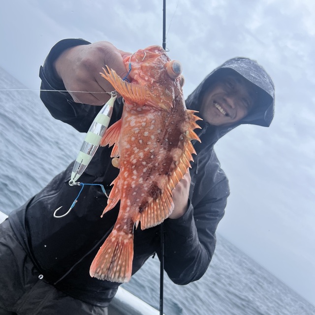 ウッカリカサゴ