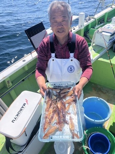 ムギイカ(スルメイカ)