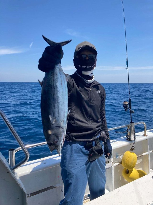 トンボ(ビンナガ)