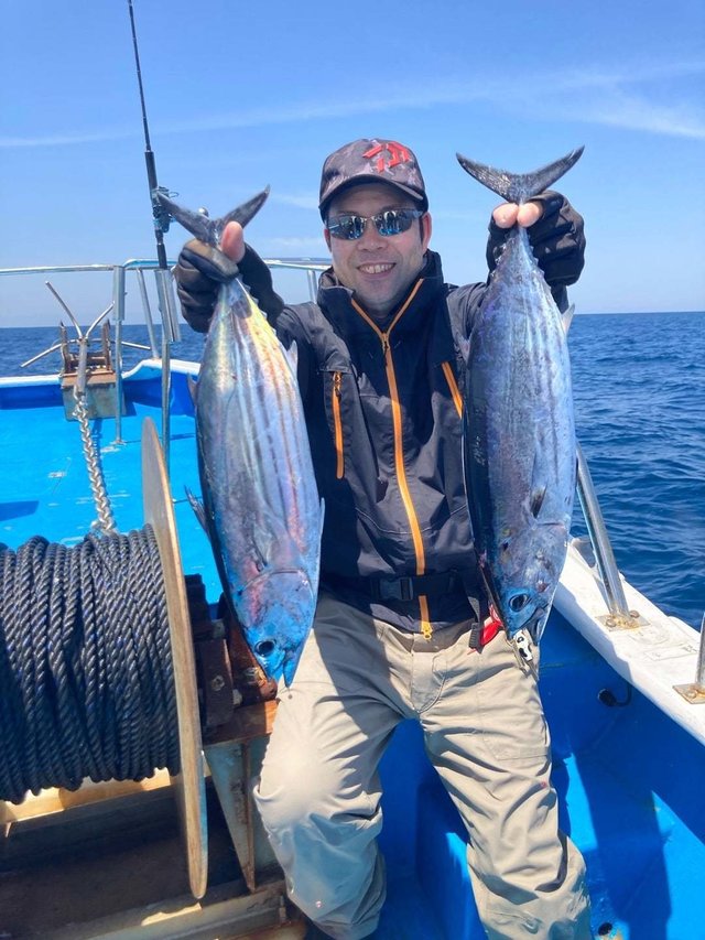 トンボ(ビンナガ)