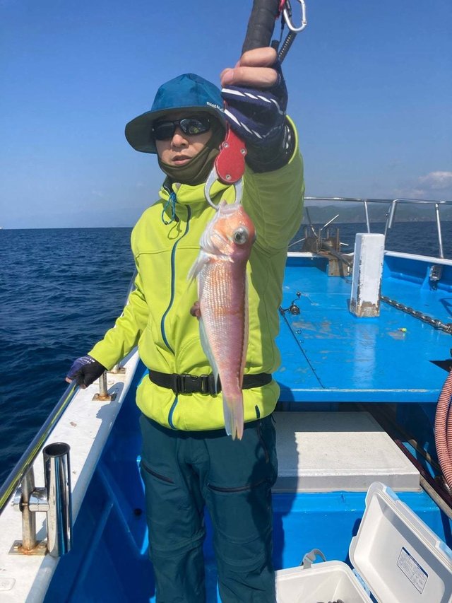 アマダイ(アカアマダイ)