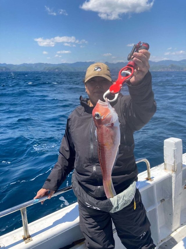 アマダイ(アカアマダイ)