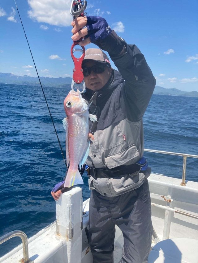 アマダイ(アカアマダイ)