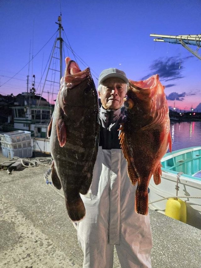 ウッカリカサゴ・ハタ(マハタ)