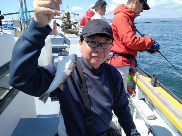 ショウサイフグ