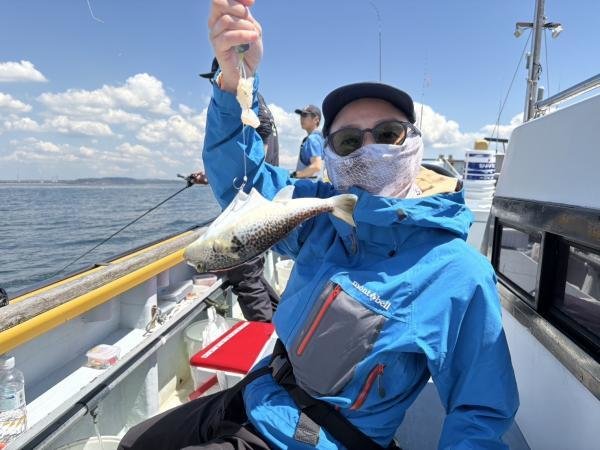 ショウサイフグ