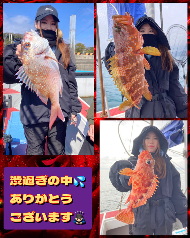 タイ(マダイ)・キジハタ・ガラカブ(カサゴ)