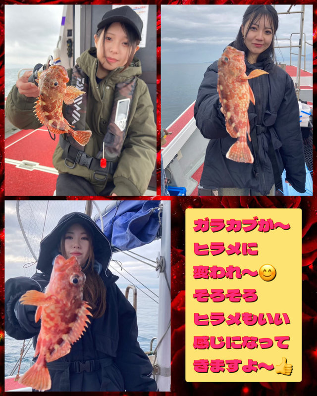 ガラカブ(カサゴ)