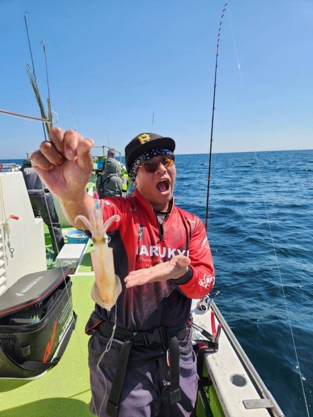 ムギイカ(スルメイカ)