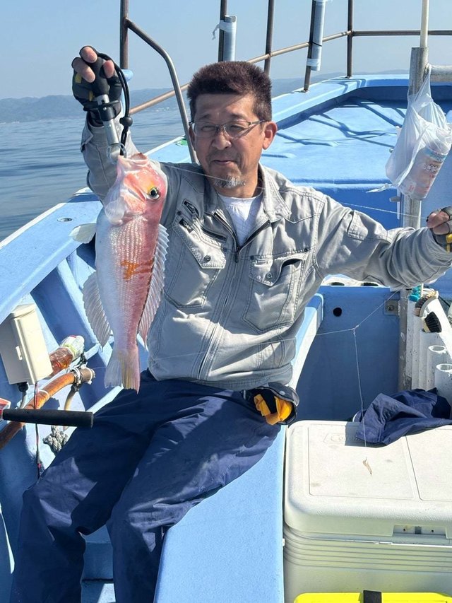 アマダイ(アカアマダイ)