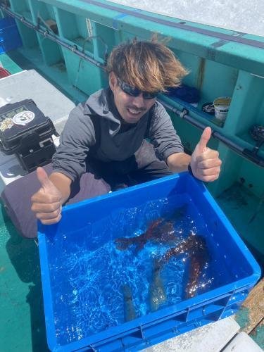 マルイカ(ケンサキイカ)