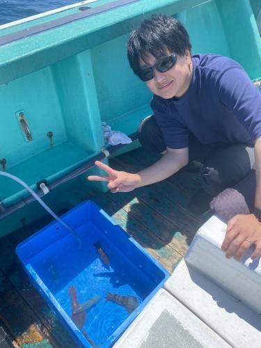 マルイカ(ケンサキイカ)