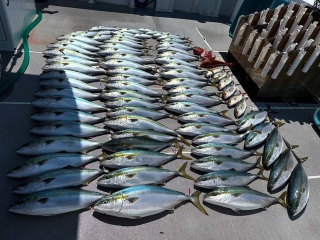 ハマチ(ブリ)・ホウボウ