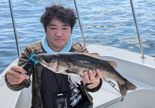 シーバス(スズキ)