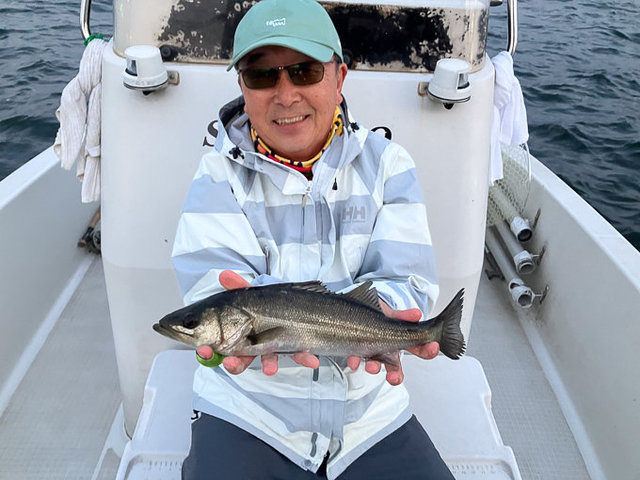 シーバス(スズキ)