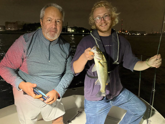 シーバス(スズキ)