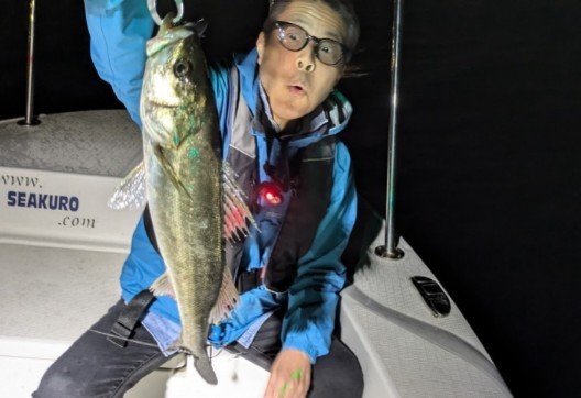 シーバス(スズキ)