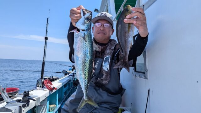 イサキ・サバ(ゴマサバ)