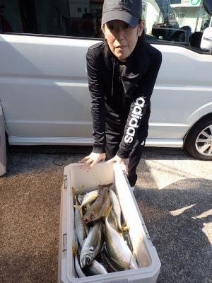 ヒラアジ(マアジ)・イサギ(イサキ)