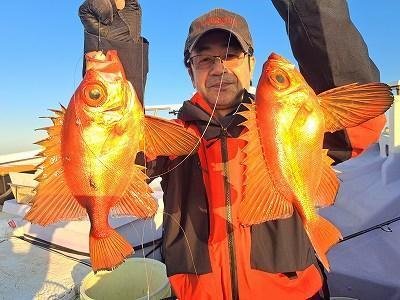 キントキ(チカメキントキ)