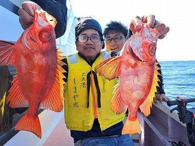 キントキ(チカメキントキ)