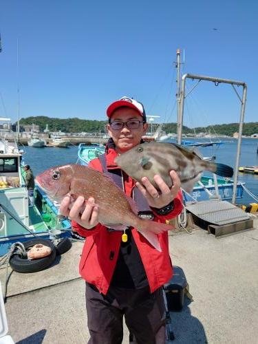 マダイ・ウマヅラ(ウマヅラハギ)