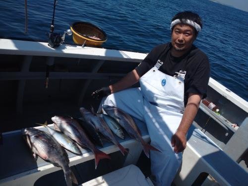 マダイ・アジ(マアジ)