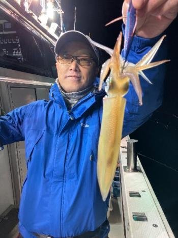 マイカ(ケンサキイカ)