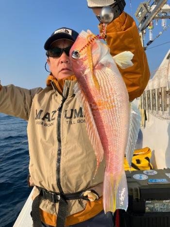 アマダイ(アカアマダイ)