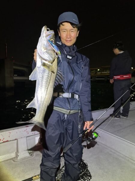 シーバス(スズキ)