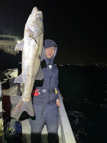 シーバス(スズキ)