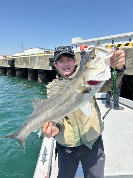 シーバス(スズキ)