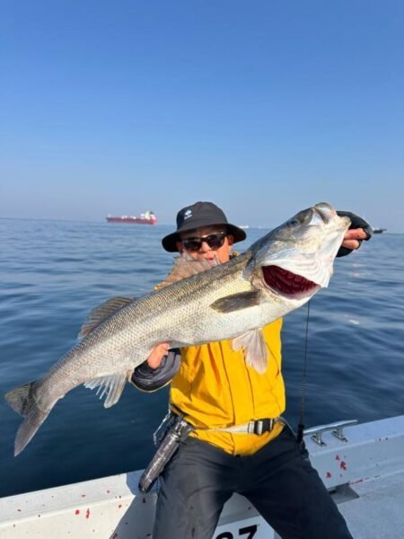 シーバス(スズキ)