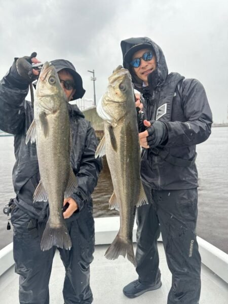 シーバス(スズキ)