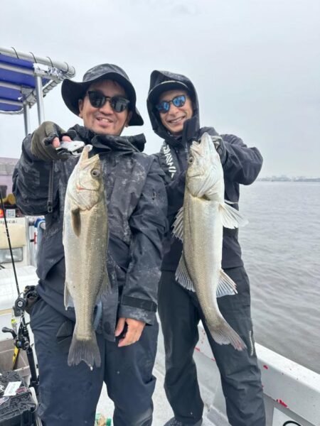 シーバス(スズキ)