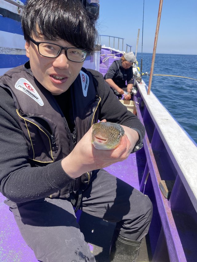 ショウサイフグ