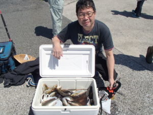 マアジ・イサキ