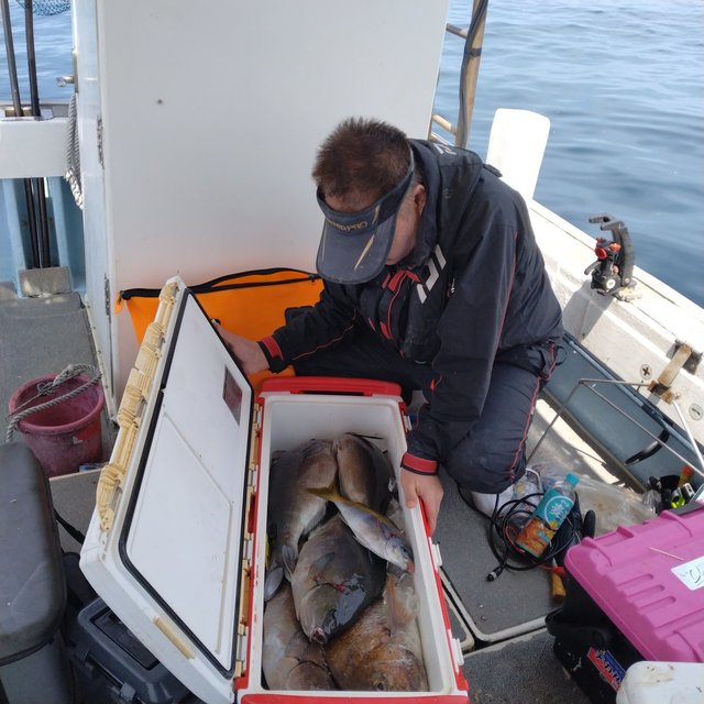 マダイ・クロ(メジナ)・イサキ