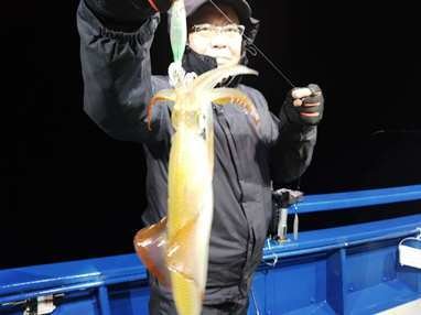 マイカ(ケンサキイカ)