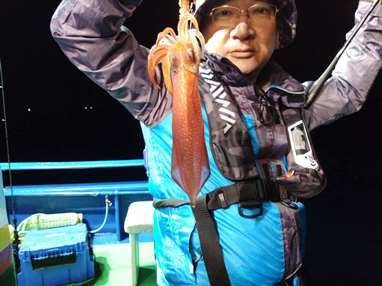 マイカ(ケンサキイカ)