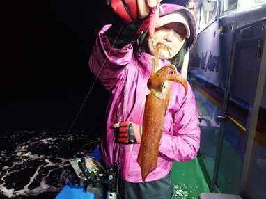 マイカ(ケンサキイカ)