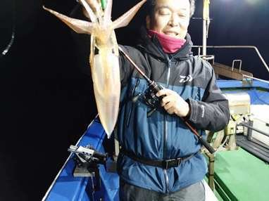 マイカ(ケンサキイカ)