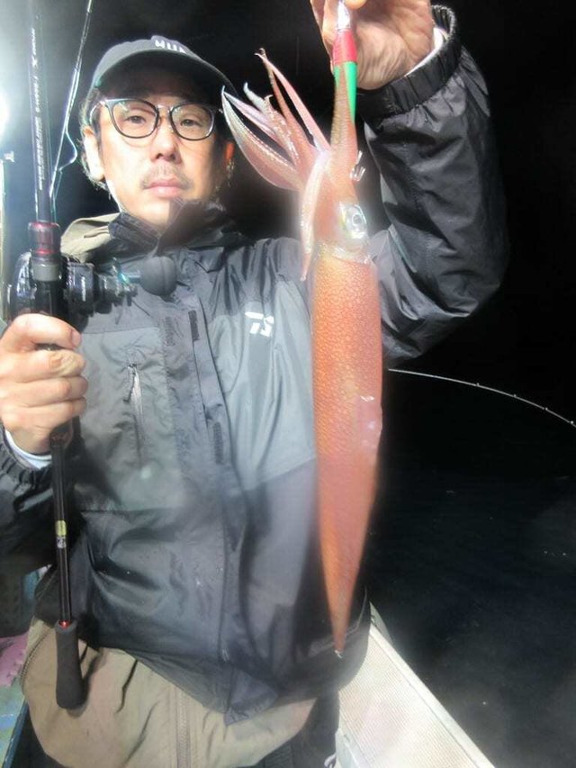 マイカ(ケンサキイカ)