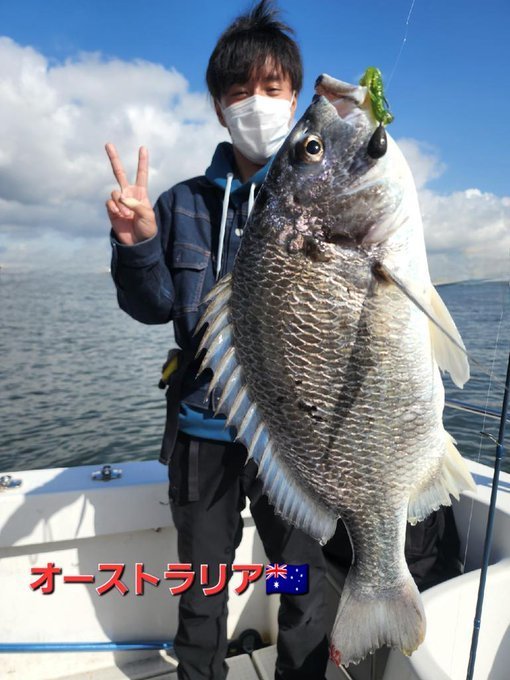 チヌ(クロダイ)