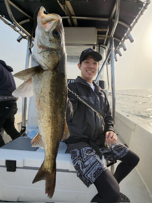 シーバス(スズキ)