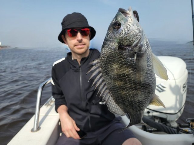 チヌ(クロダイ)